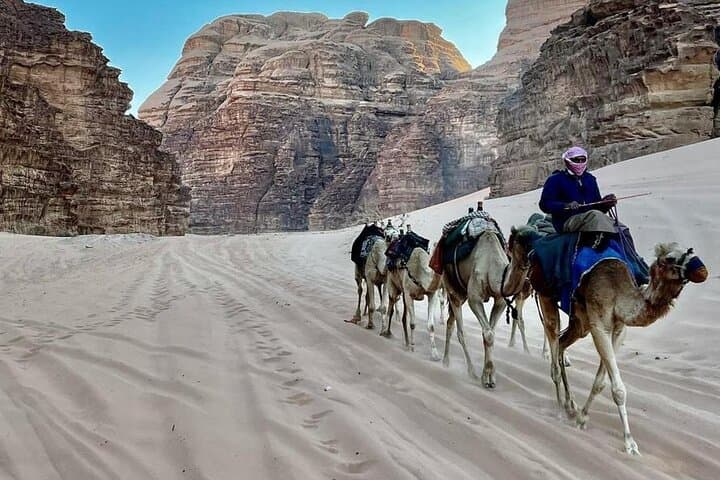 One-Day Petra and Wadi Rum from Amman: Complete Day-Trip Guide photo 4