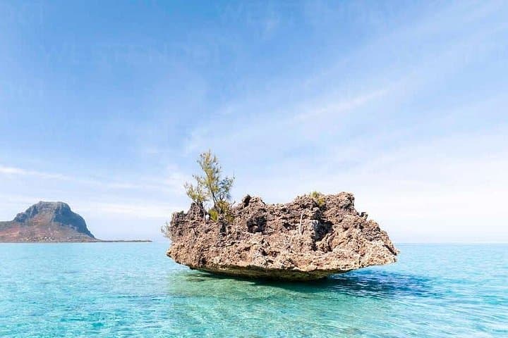 Full-Day Private Dolphin Tour Mauritius: Swim, Snorkel & Ile aux Bénitiers BBQ photo 2