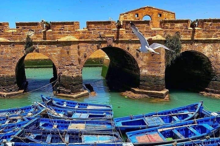 Essaouira Private Day Trip from Marrakech — Argan Workshops, Medina & Atlantic Views