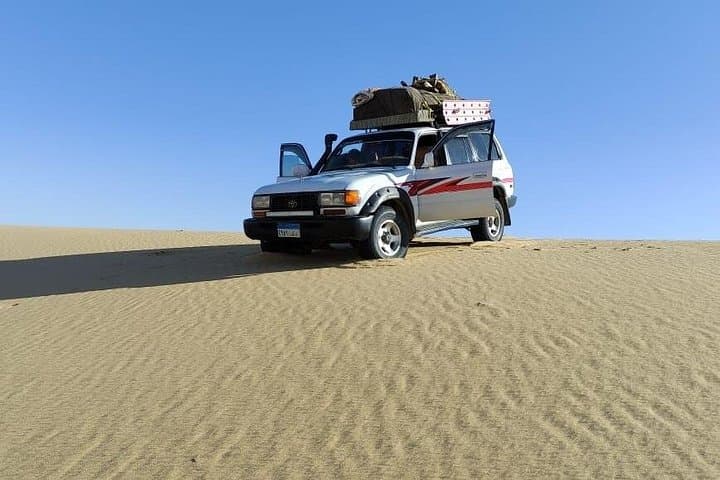 Black and White Desert Safari: 3-Day Bahariya Oasis Camping Adventure photo 2