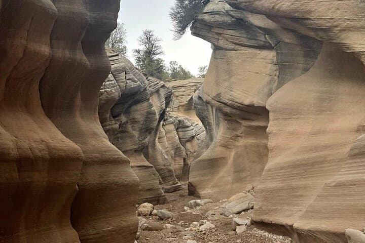 Willis Creek Sunset Tour: 2.5-Hour Slot Canyon & Paria Valley Sunset Experience photo 4