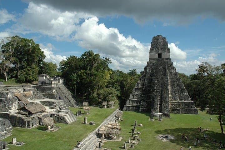 Tikal Maya Temple Day Tour from San Ignacio — Full-Day Ruins & Rainforest Wildlife