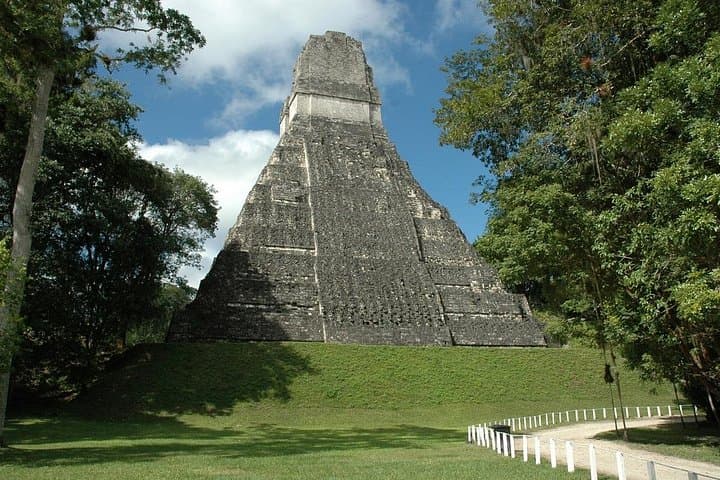 Tikal Maya Temple Day Tour from San Ignacio — Full-Day Ruins & Rainforest Wildlife photo 2