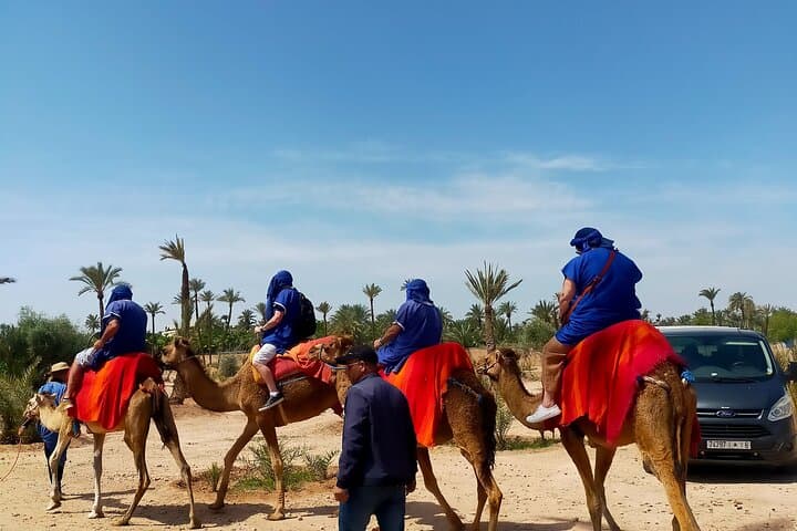 Camel Ride in Marrakech Palmeraie: 1-Hour Private Experience with Mint Tea photo 3