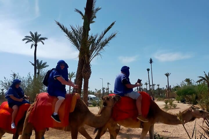 Camel Ride in Marrakech Palmeraie: 1-Hour Private Experience with Mint Tea photo 5