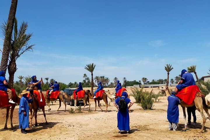 Camel Ride in Marrakech Palmeraie: 1-Hour Private Experience with Mint Tea photo 6