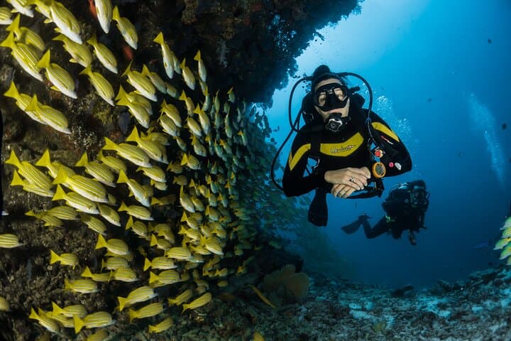 Ras Mohammed Boat Diving: Full-Day Scuba & Snorkel from Sharm El Sheikh