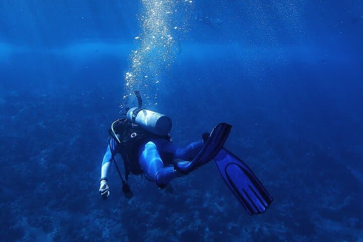 Red Sea Day Dive from Hurghada — Abu Ramada & Giftun Coral Gardens photo 4