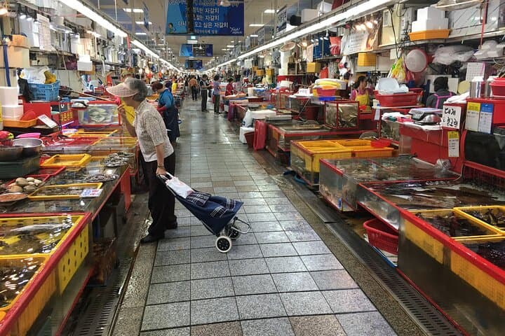 Busan Highlights Small-Group Tour: Gamcheon, Haedong Yonggungsa & Hwangnyeong View photo 2