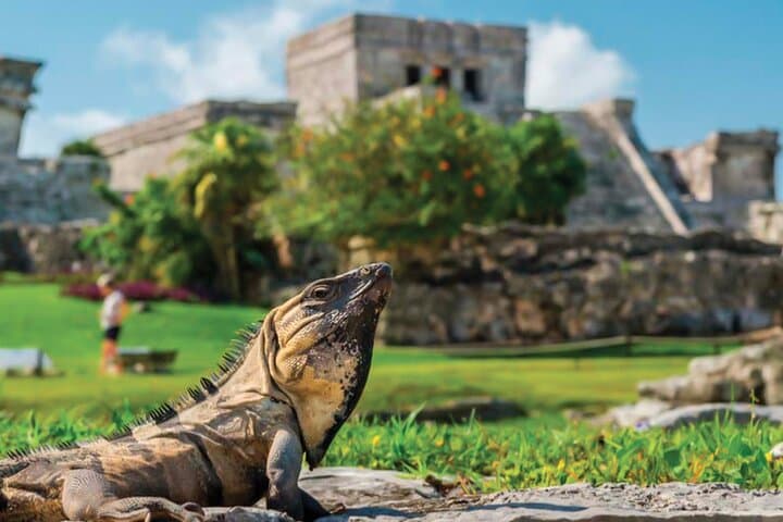 Tulum Ruins to Casa Tortuga: Cenote Swim, Mayan Ruins and Playa Del Carmen Day Tour photo 3