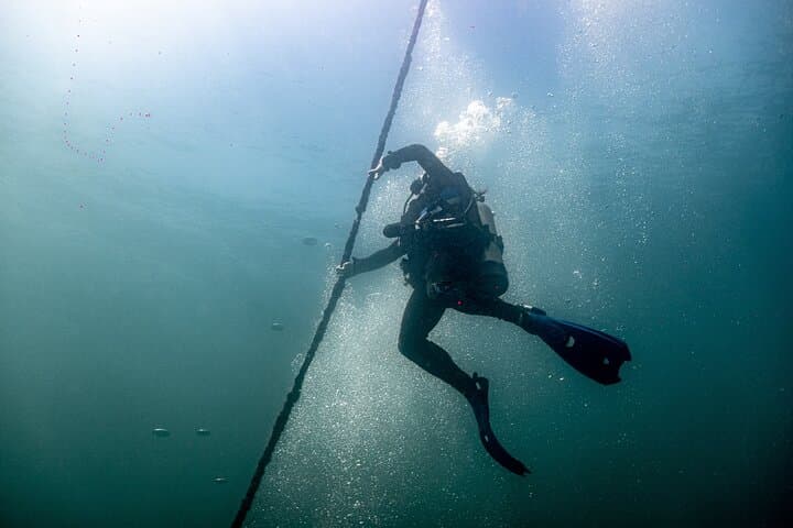 Cabo to La Paz 2-Tank Wreck Dive at Espiritu Santo (Fang Ming, Salvatierra, C59) photo 5