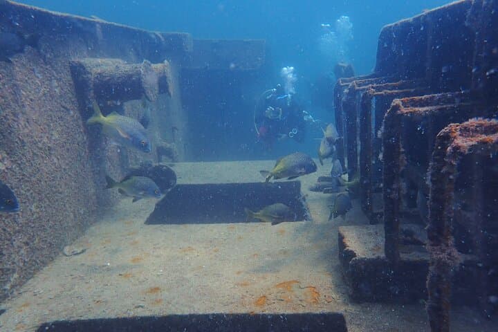 Cabo to La Paz 2-Tank Wreck Dive at Espiritu Santo (Fang Ming, Salvatierra, C59) photo 3