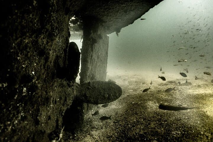 Cabo to La Paz 2-Tank Wreck Dive at Espiritu Santo (Fang Ming, Salvatierra, C59) photo 4