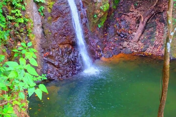 Jaco 10-Waterfall Hike at Finca los Solís — Rainforest Pools & Costa Rican Lunch