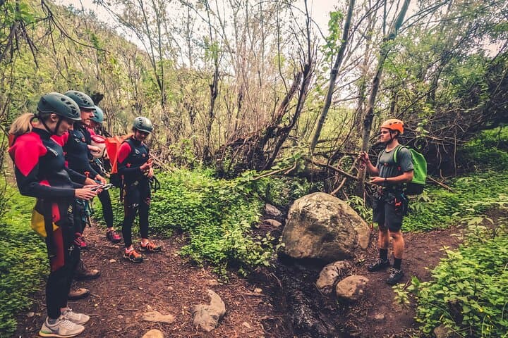 Canyoning Waterfalls in Gran Canaria’s Laurisilva: A Rainforest Descent photo 2