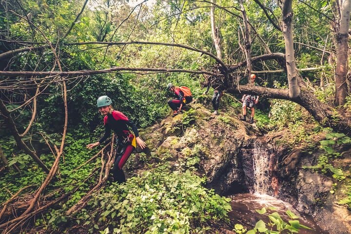 Canyoning Waterfalls in Gran Canaria’s Laurisilva: A Rainforest Descent photo 5