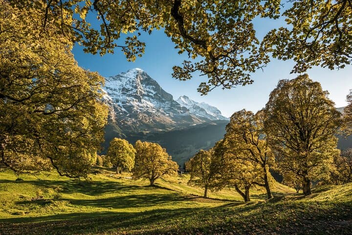 Grindelwald, Interlaken & Lauterbrunnen Day Trip from Lucerne