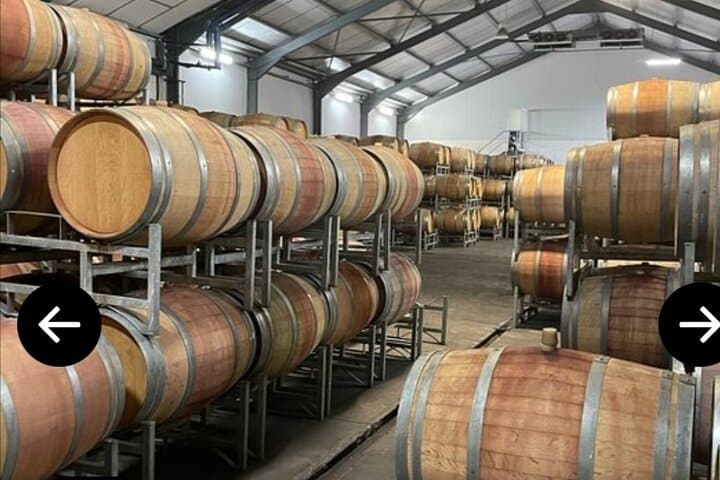 2-Day Cape Town Highlights Private Tour: Table Mountain, Cape Peninsula & Robben Island photo 6
