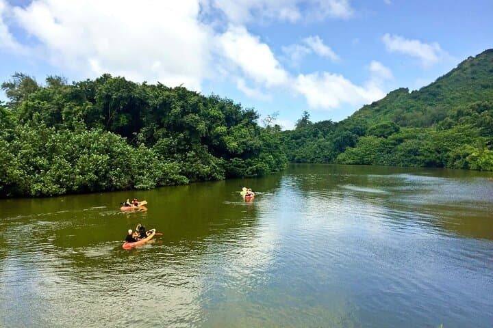 Rainforest River Kayak Tour in Kahana Bay, Oahu — Self-Guided Adventure photo 6