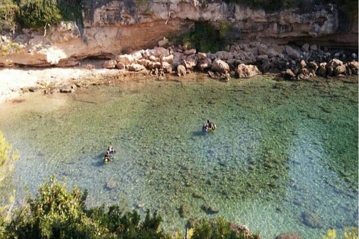 Scuba Diving in Tarragona: Explore Posidonia Meadows and Mediterranean Coves photo 3