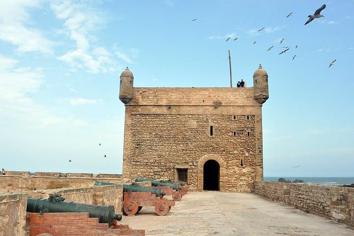 Essaouira Private Day Trip from Marrakech — Atlantic Ramparts, Argan Goats & Medina Walk photo 3