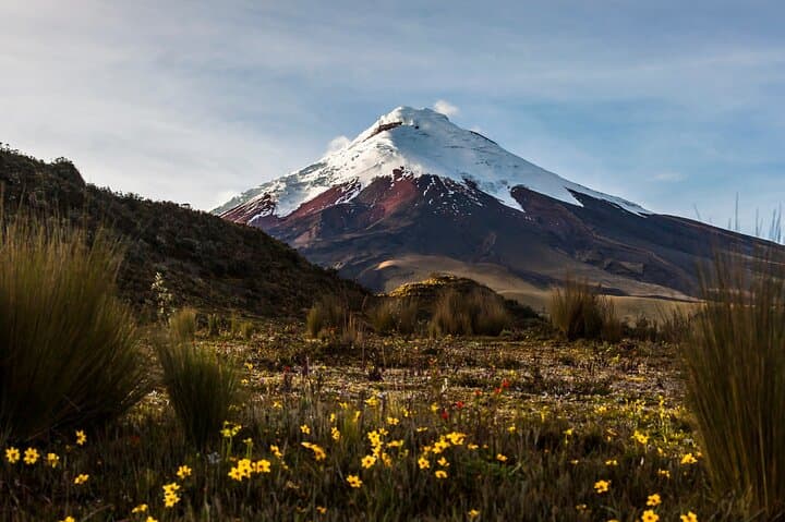 Ecuador Complete Adventure: Andes, Amazon & Galapagos in 15 Days