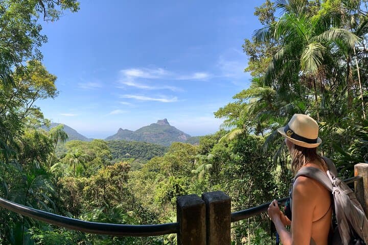 Tijuca Forest Hike: Waterfalls, Caves & Atlantic Rainforest Trails