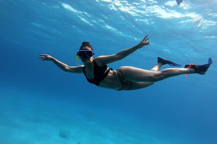 El Cielo Cozumel Private Snorkel: Starfish Flats & Palancar Reefs photo 2