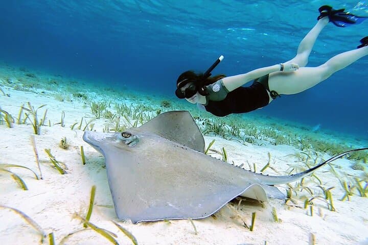 El Cielo Cozumel Private Snorkel: Starfish Flats & Palancar Reefs