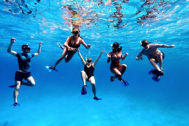 El Cielo Cozumel Private Snorkel: Starfish Flats & Palancar Reefs photo 3