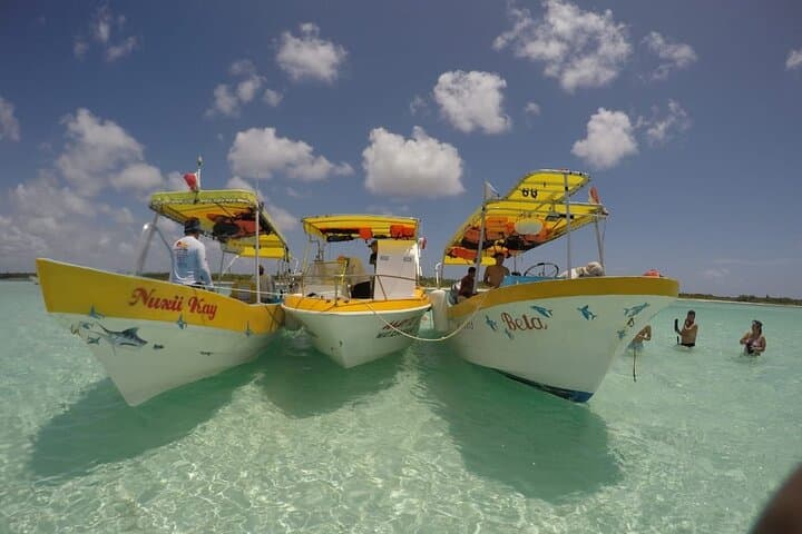 El Cielo Cozumel Private Snorkel: Starfish Flats & Palancar Reefs photo 5