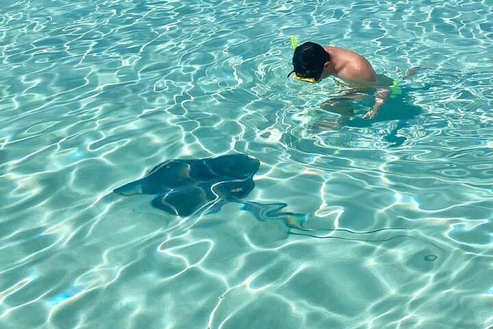 El Cielo Cozumel Private Snorkel: Starfish Flats & Palancar Reefs photo 6