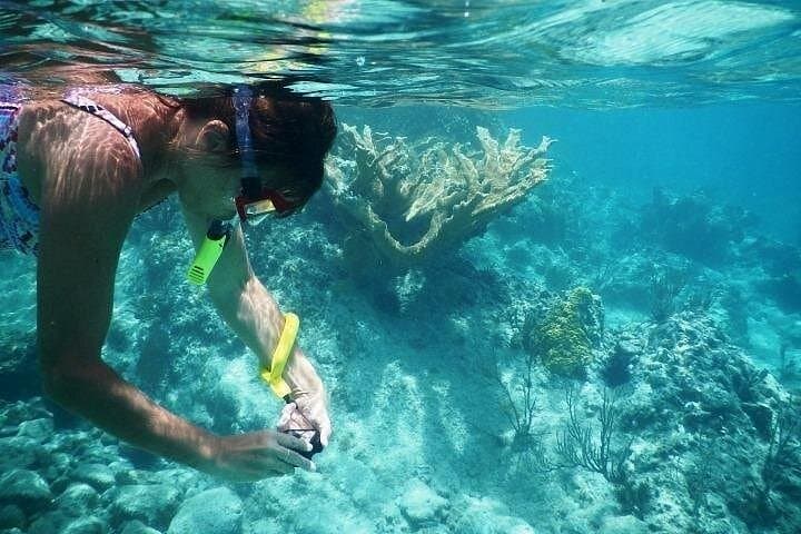 Tioman Sribuat Snorkel and Summit Hike Day Trip from Singapore photo 2