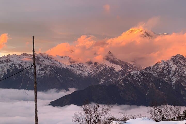 Mardi Himal Base Camp Trek: 11-Day Annapurna Trek from Pokhara photo 6
