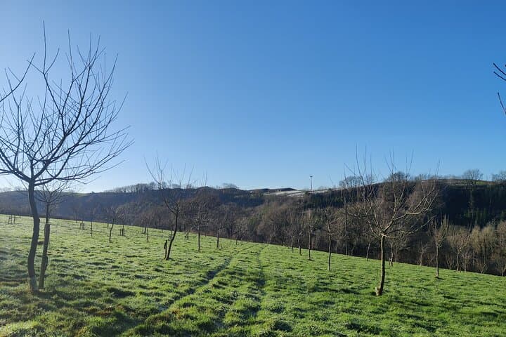 North Devon Cider Orchard and Vineyard Tour - Taste English Cider & Wine photo 4