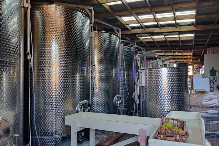 North Devon Cider Orchard and Vineyard Tour - Taste English Cider & Wine photo 5