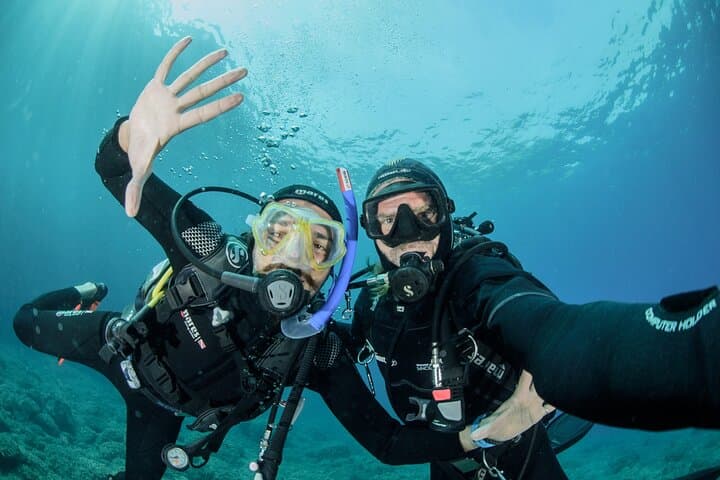 Sorrento Beginner Scuba: 5-Hour PADI Guided Dive from Sorrento