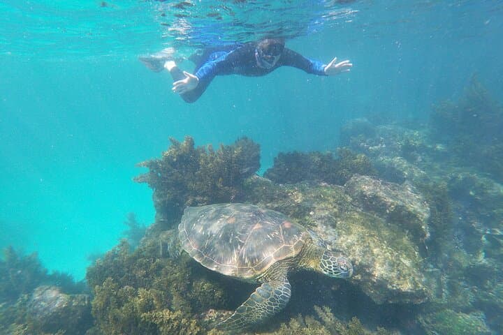 8-Day Galapagos Multisport: San Cristobal, Isabela & Santa Cruz Adventure photo 3