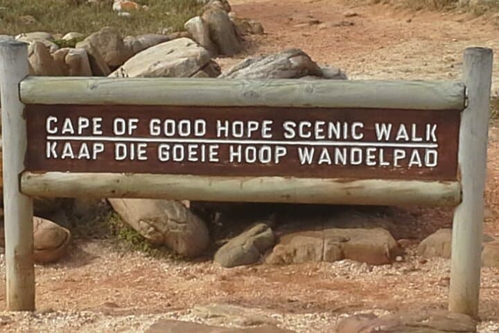 Cape Peninsula Day Tour: Penguins, Chapman’s Peak & Cape of Good Hope photo 4