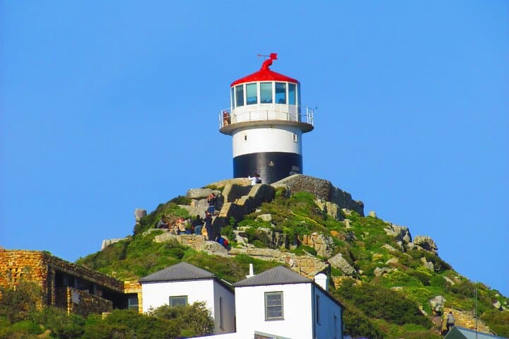 Cape Town Two-for-One: Table Mountain, Penguins, Cape Point & Wine photo 3