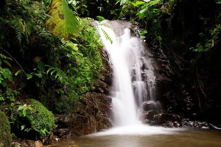 Private Mindo Cloud Forest Adventure: Day Tour from Quito