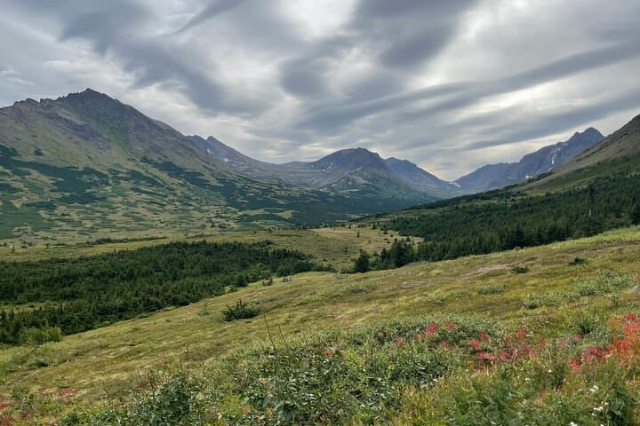 Glen Alps Nature Walk in Chugach State Park — Easy Flora & Wildlife Hike Near Anchorage photo 4