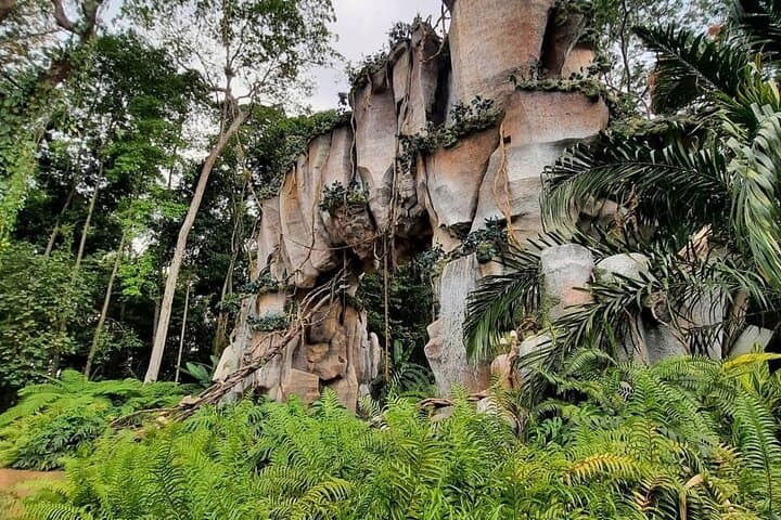 2-Day Guatemala Amusement Park Tour from Mexico — Xejuyup, Dino Park & Xulik Toy Museum photo 4