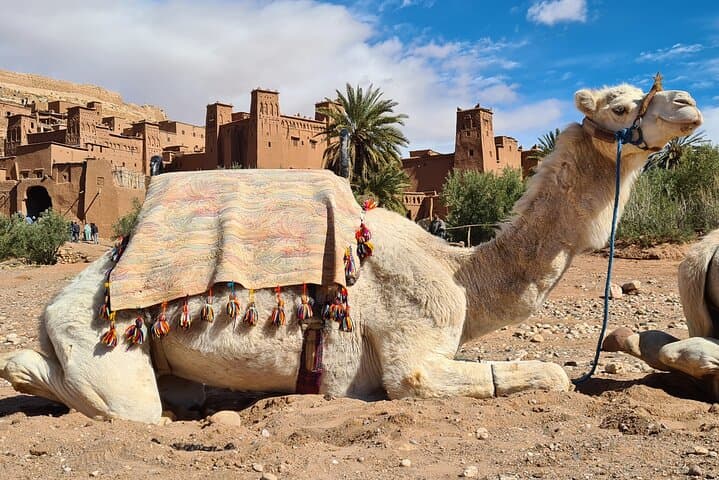 Marrakech to Merzouga: 3-Day Erg Chebbi Desert Tour from Marrakech photo 2