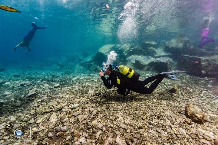Earn Your First Scuba License on Tenerife: Private Beach Course & Guided Dives photo 4