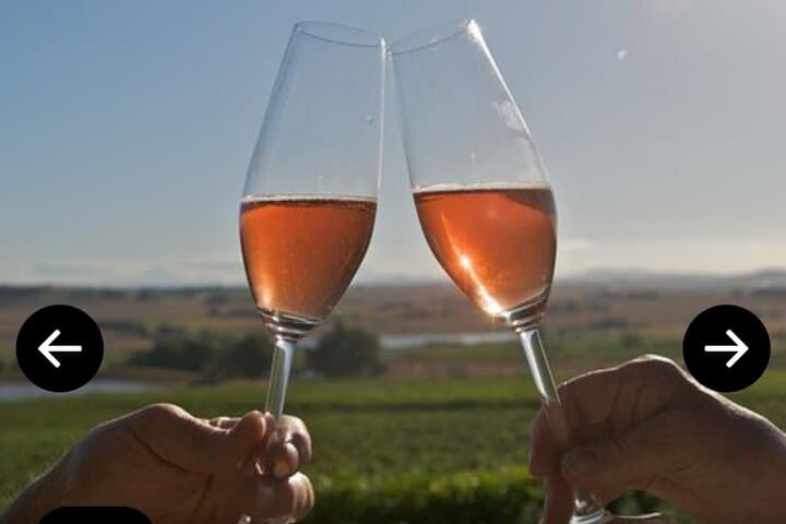 2-Day Cape Town Highlights Private Tour: Table Mountain, Cape Peninsula & Robben Island photo 5