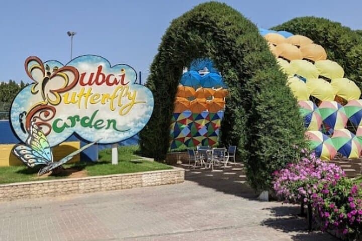 Inside Dubai Butterfly Garden: Explore 15,000 Butterflies in Climate-Controlled Domes