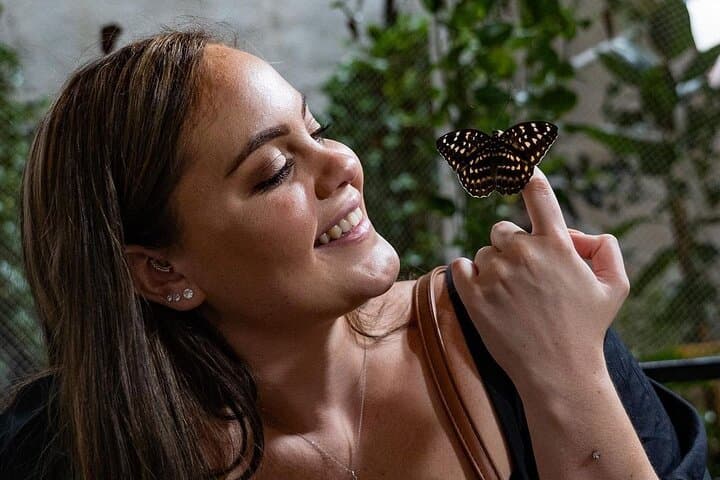 Inside Dubai Butterfly Garden: Explore 15,000 Butterflies in Climate-Controlled Domes photo 2