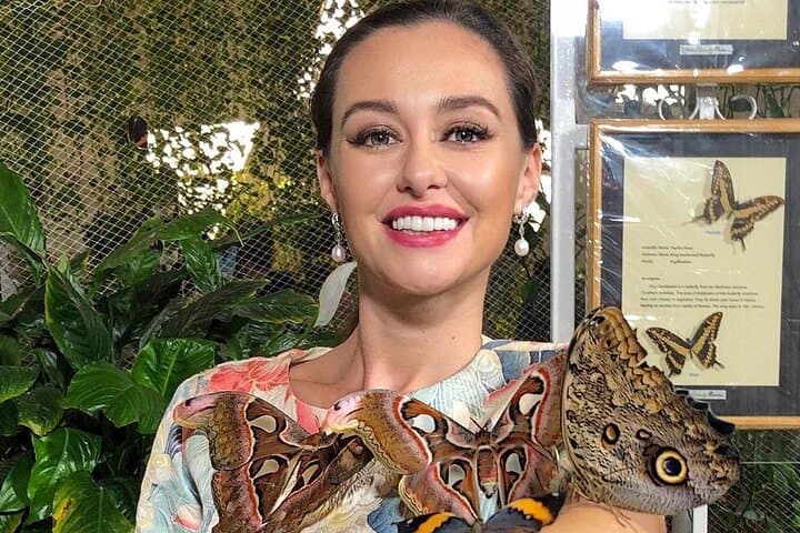 Inside Dubai Butterfly Garden: Explore 15,000 Butterflies in Climate-Controlled Domes photo 3