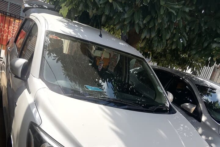 Private Executive Transfer to Sun City from OR Tambo — Comfortable Van to Pilanesberg photo 3
